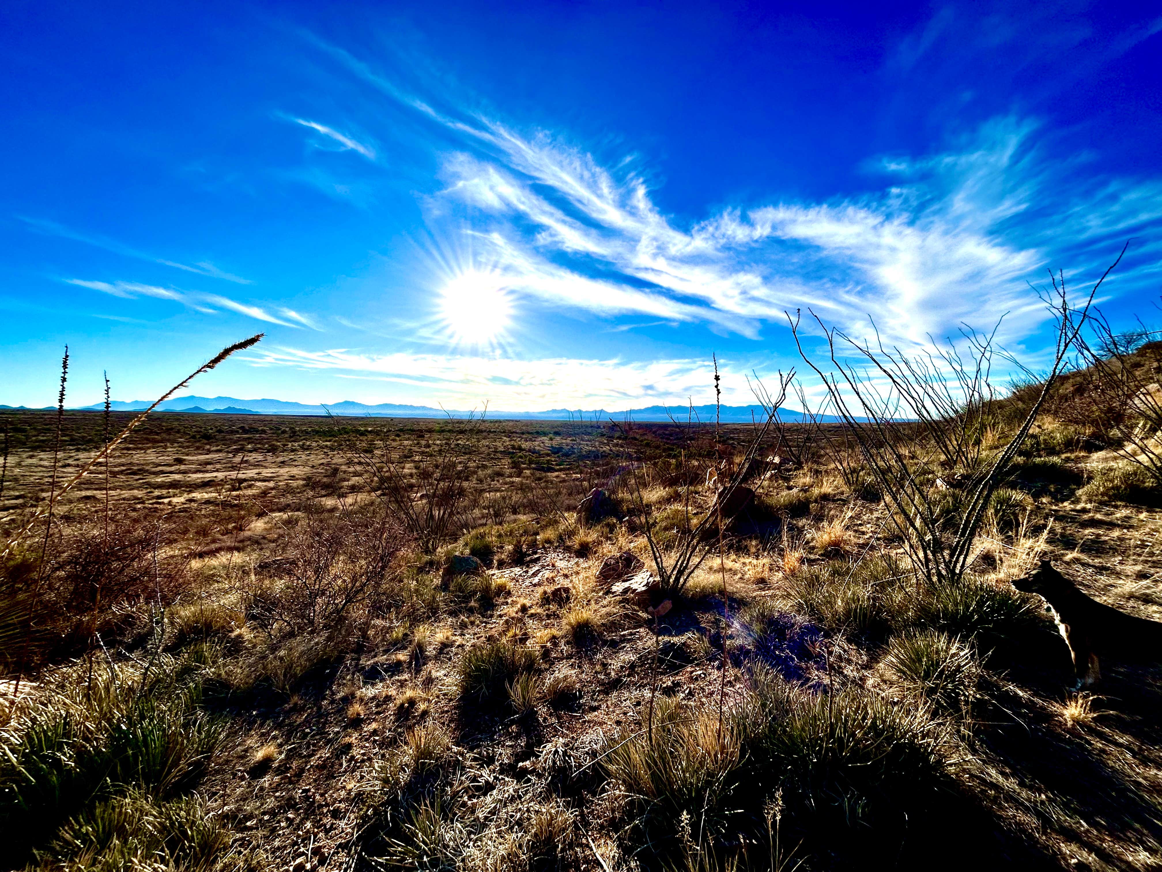 Camper-submitted photo at Dragoon Mountains near Tombstone, AZ