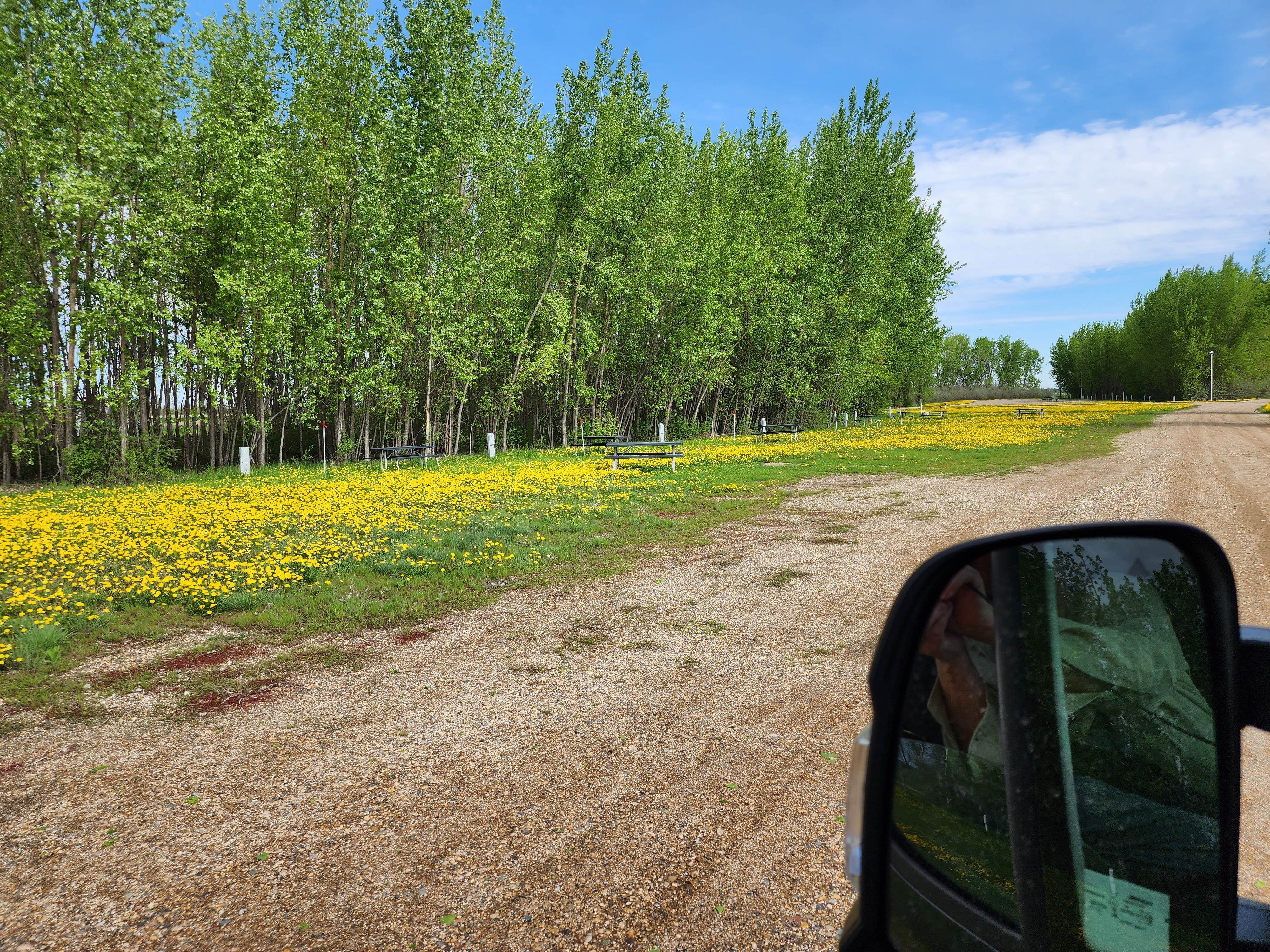 Camper-submitted photo at Drayton Campground near Walhalla, ND