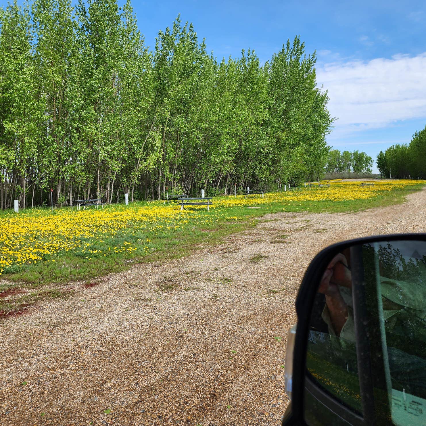 Drayton Campground | Grafton, ND