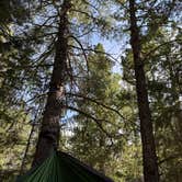 Review photo of Dream Canyon Campsites - Dispersed Camping by Mattie C., August 6, 2025