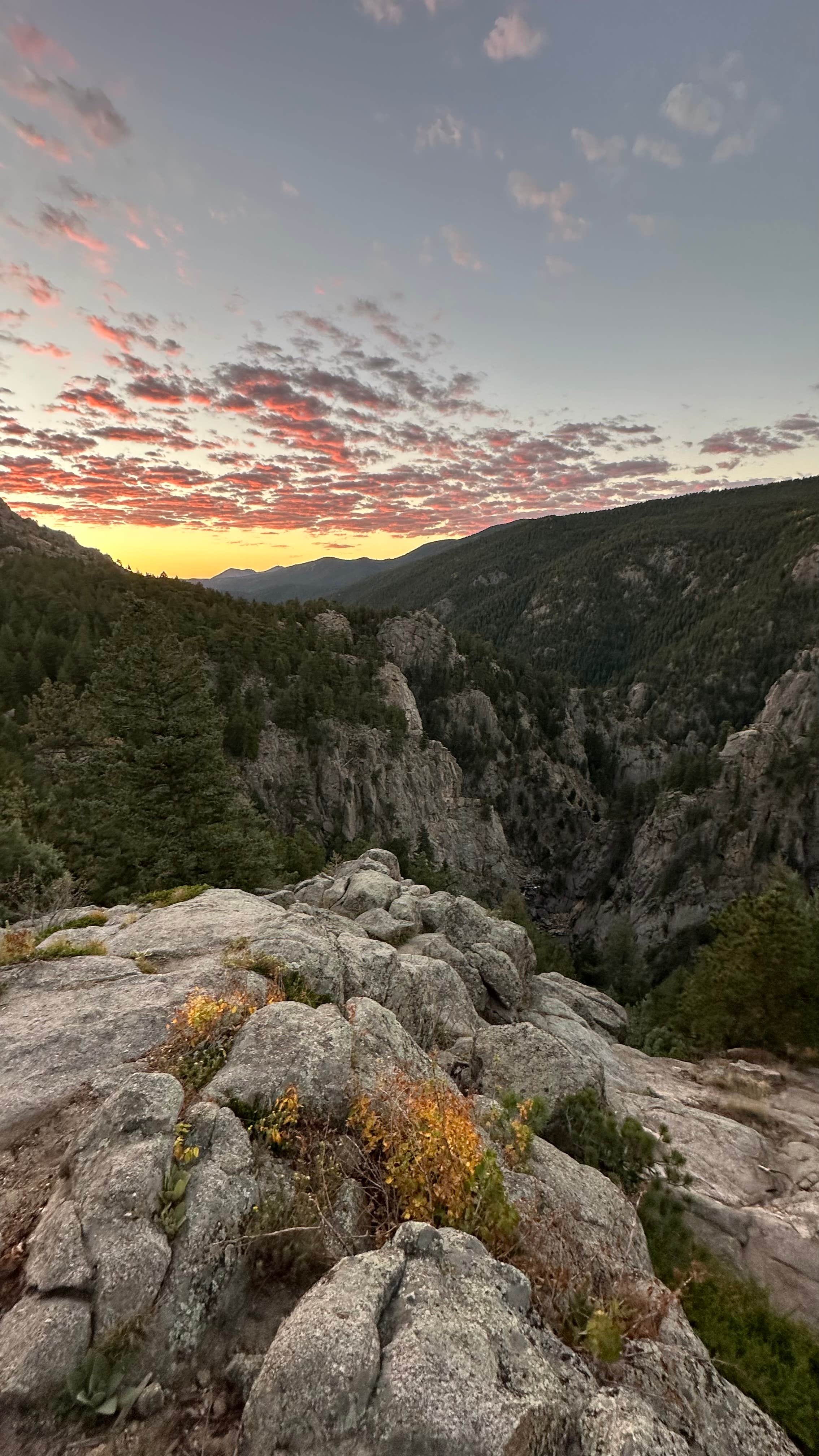 Sawyer S.'s photo of a dispersed camping area at Dream Canyon Campsites - Dispersed Camping near Loveland, CO