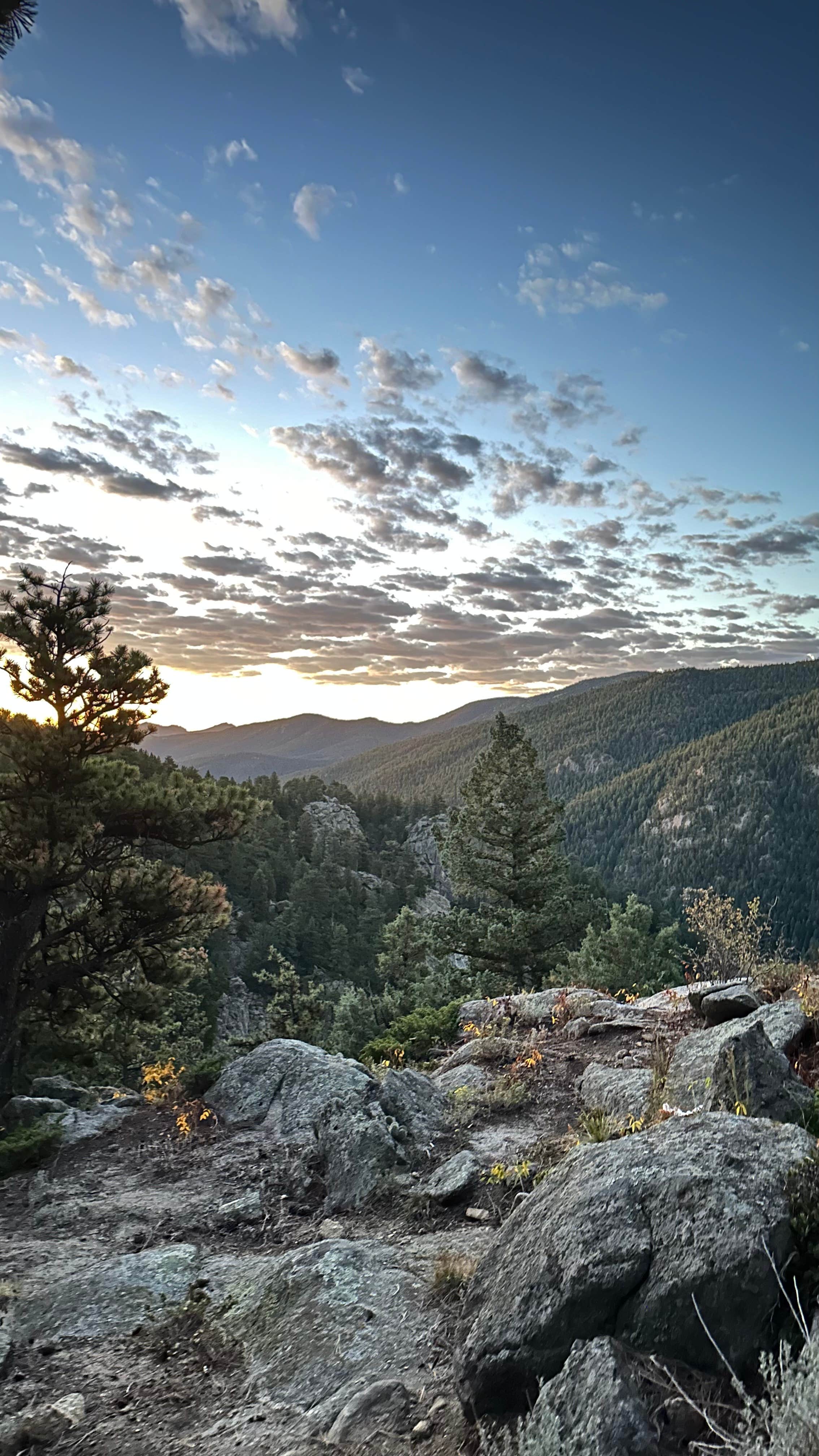 Camper-submitted photo at Dream Canyon Campsites - Dispersed Camping near Jamestown, CO