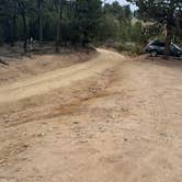 Review photo of Dream Canyon Campsites - Dispersed Camping by Andria R., October 12, 2024