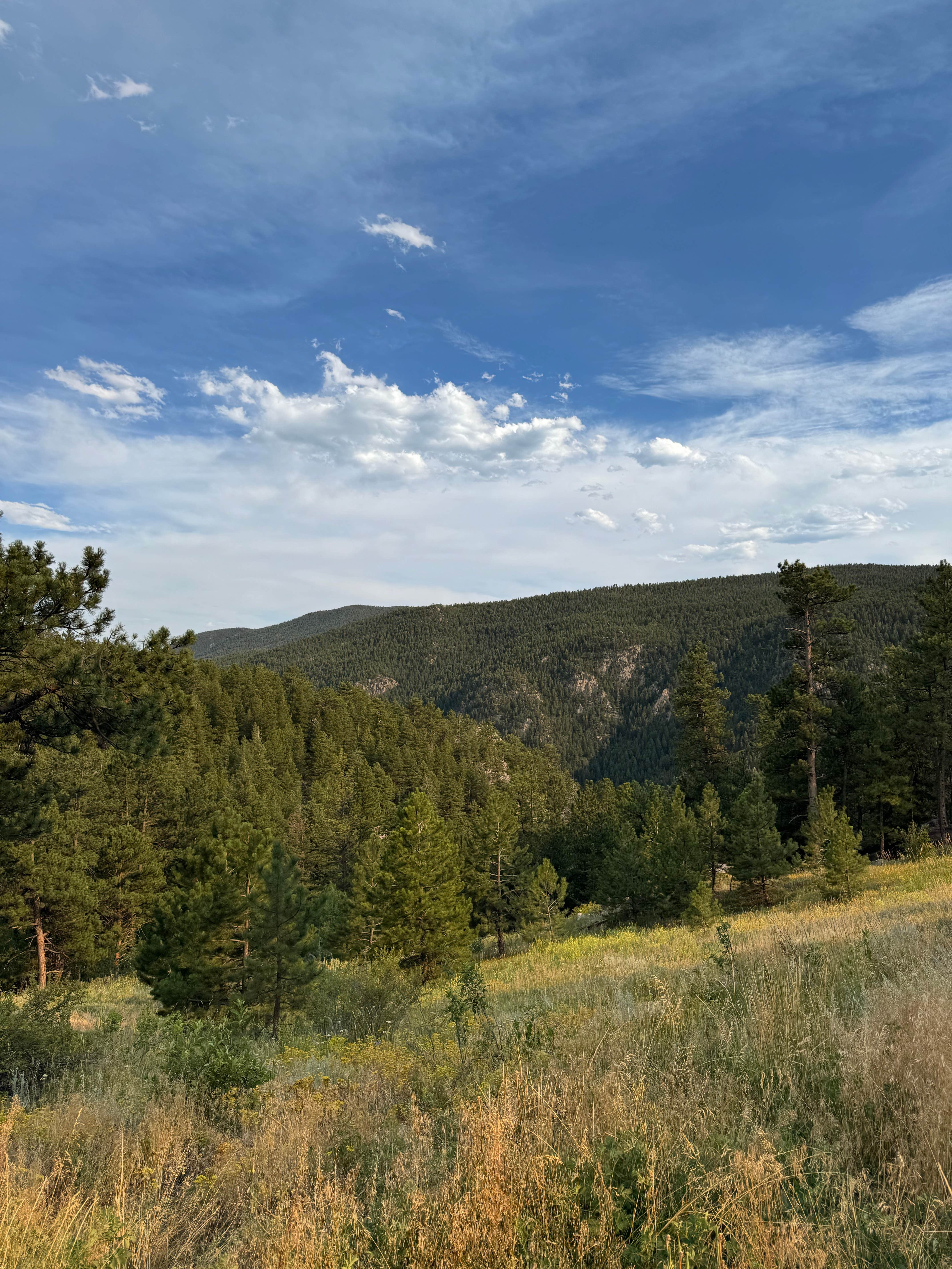 Camper-submitted photo at Dream Canyon Campsites - Dispersed Camping near Boulder, CO
