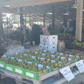 Review photo of Dream Lake Camp by Capt.Greg O., February 23, 2026