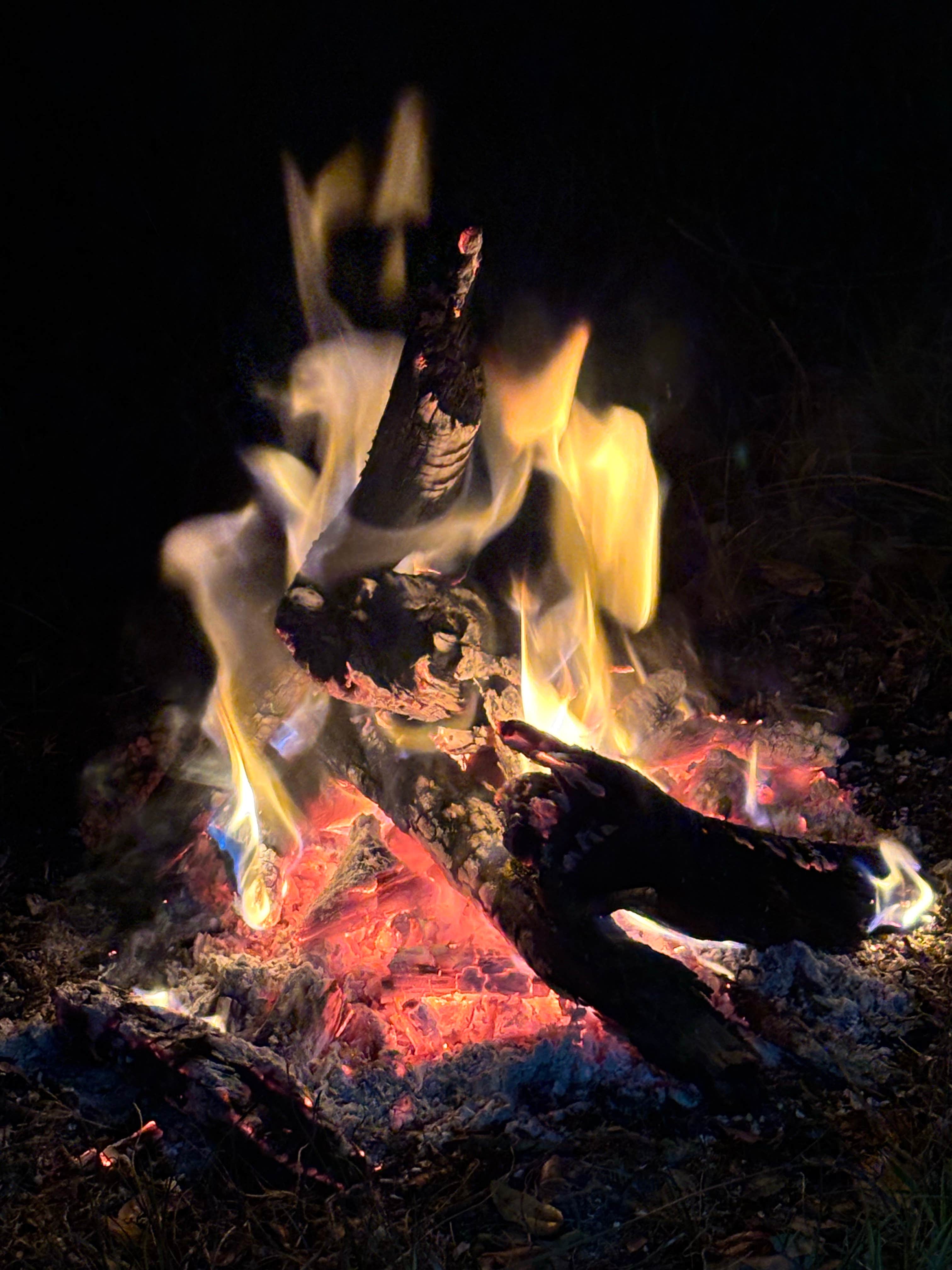 Camping near Bayou Bliss: Dream Lake Camp, Sarasota, Florida