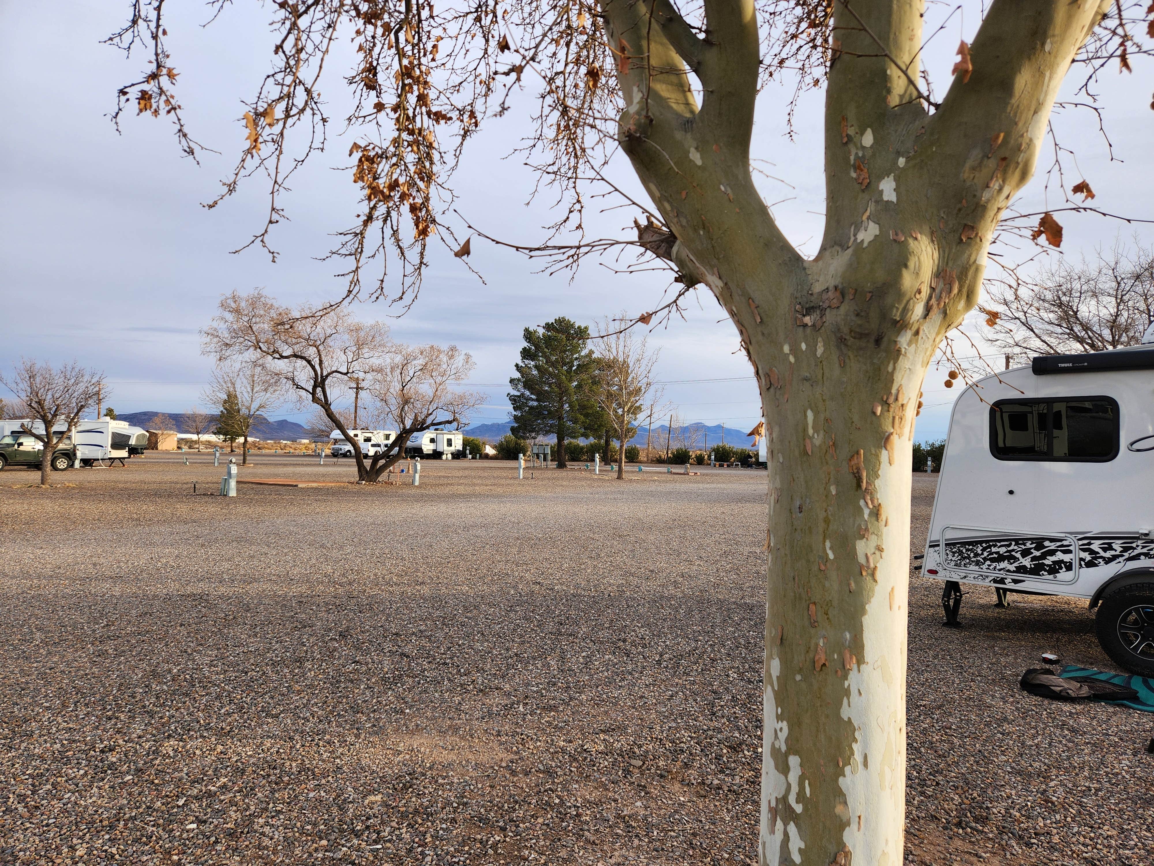 Camper submitted image from Dream Catcher RV Park - 4