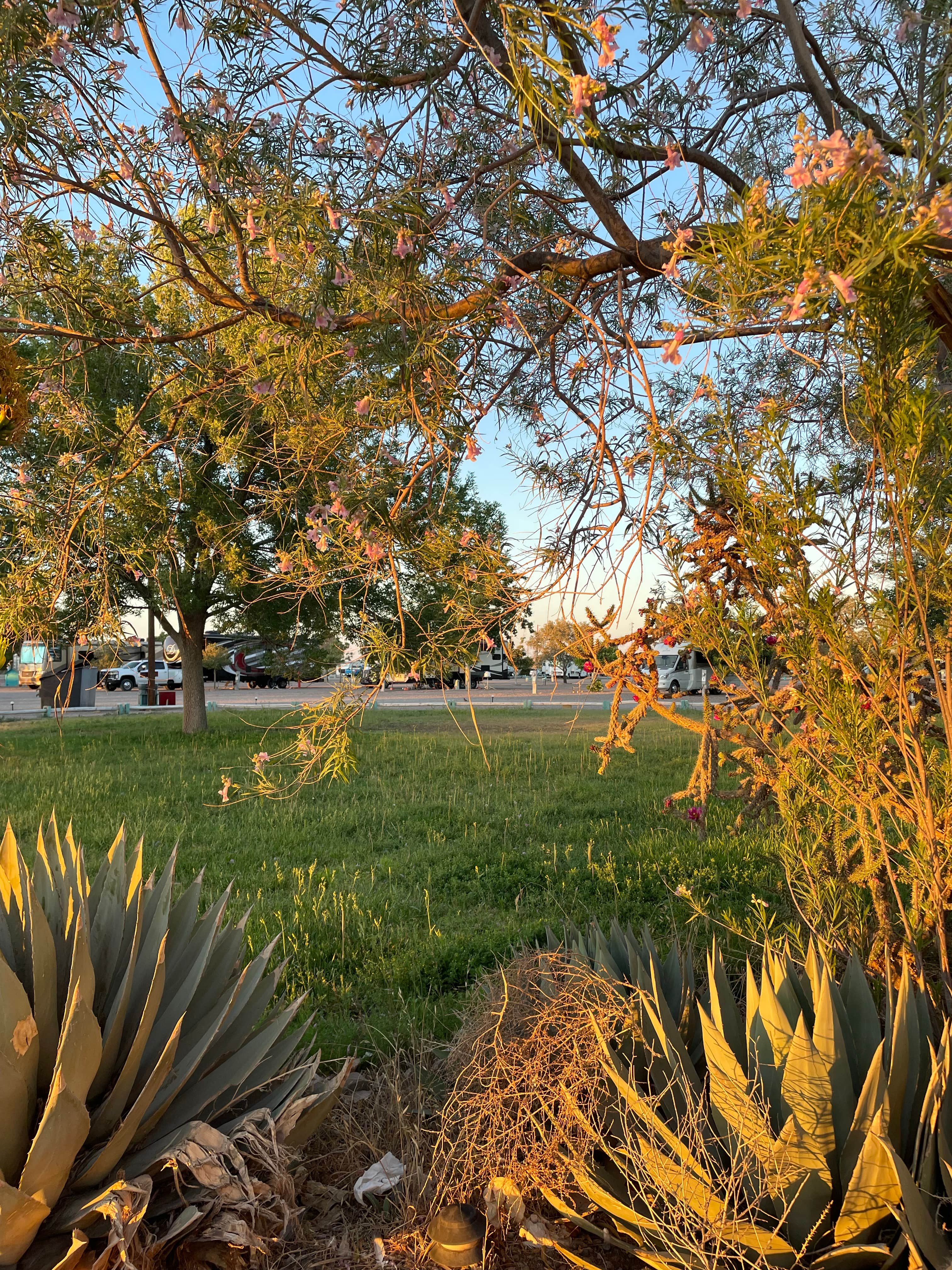 Camper-submitted photo at Dream Catcher RV Park near Hanover, NM