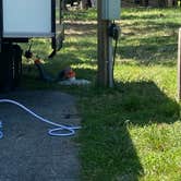 Review photo of Dreher Island State Park Campground by Kevan  R., June 22, 2025