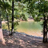 Review photo of Dreher Island State Park Campground by Cindy S., September 26, 2024