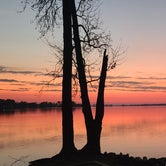 Review photo of Dreher Island State Park by Paul R., March 1, 2024