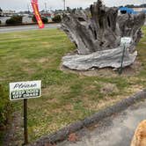 Review photo of Driftwood RV Park by Sabrina V., August 2, 2025