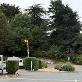 Review photo of Driftwood RV Park by Sabrina V., August 2, 2025