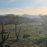 Review photo of Dripping Springs Road Camp by John C., December 19, 2025