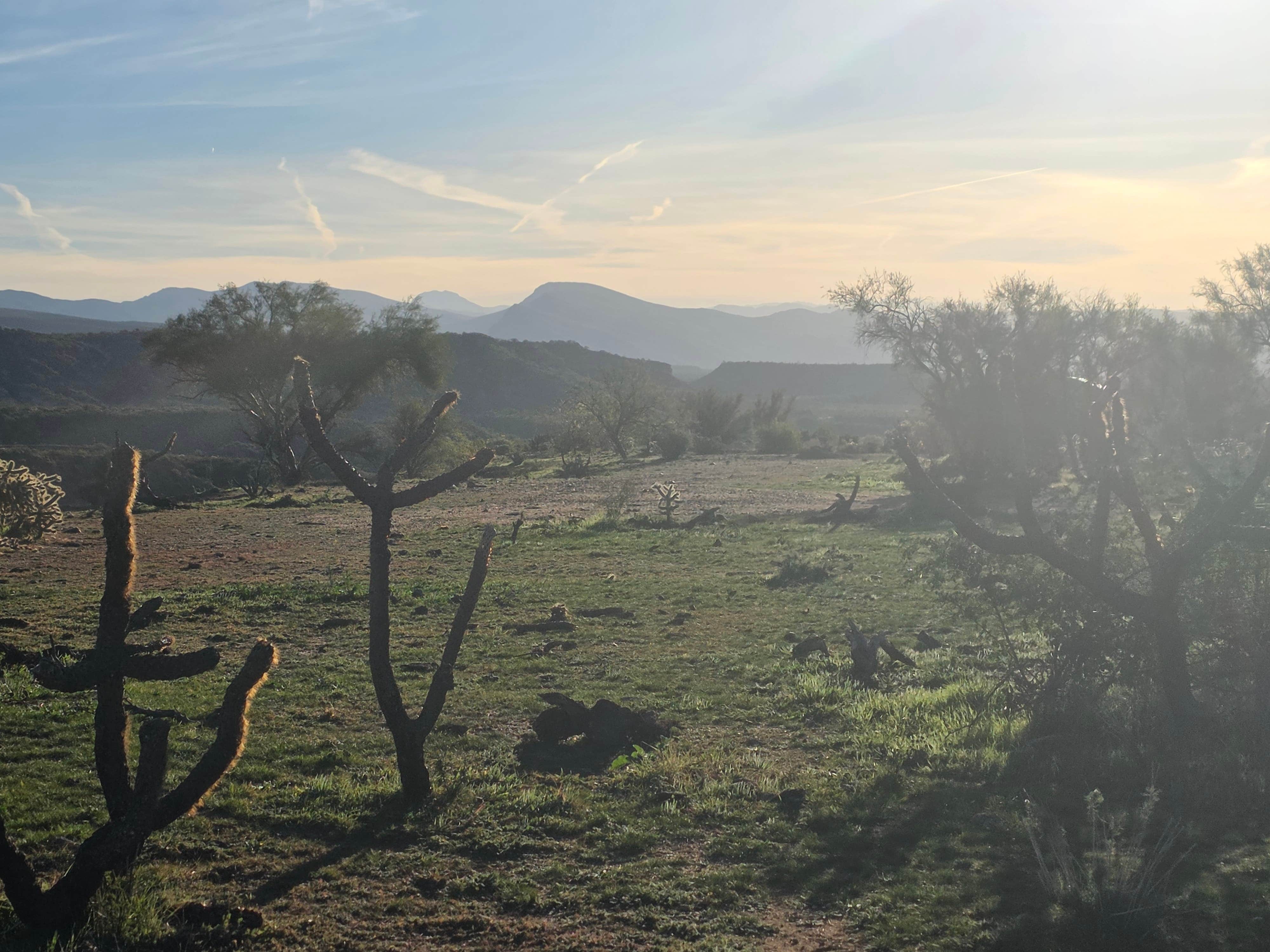 Camper submitted image from Dripping Springs Road Camp - 2