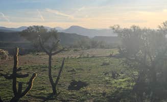 John C.'s photo of a dispersed camping area at Dripping Springs Road Camp near Mammoth, AZ