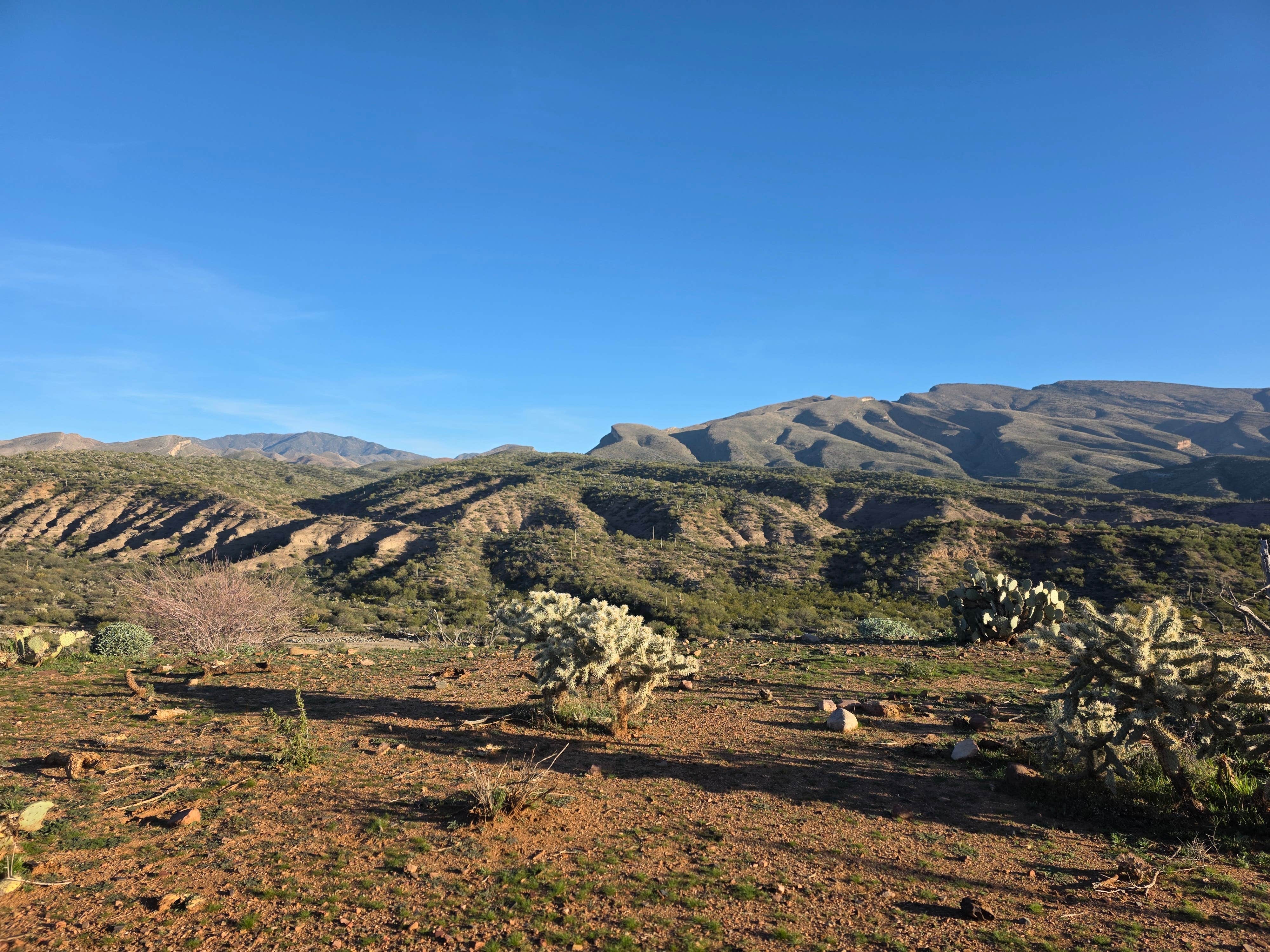 Camper submitted image from Dripping Springs Road Camp - 3