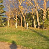 Review photo of Driscoll City Park by Teresa T., October 2, 2026