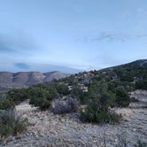 Review photo of Dry Canyon Near Hang Glider Launch by Mark G., January 21, 2024
