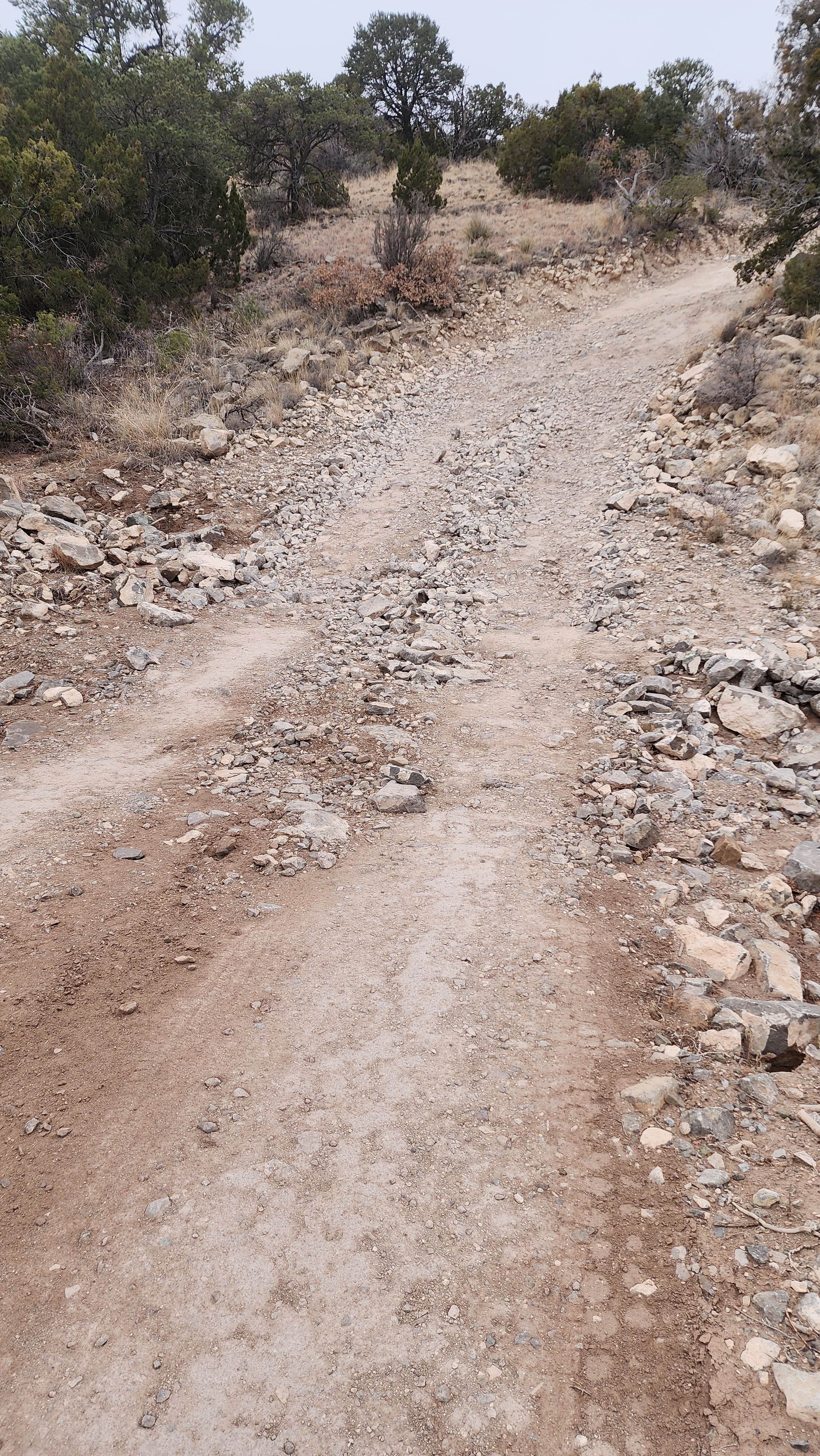 Camper submitted image from Dry Canyon Near Hang Glider Launch - 5