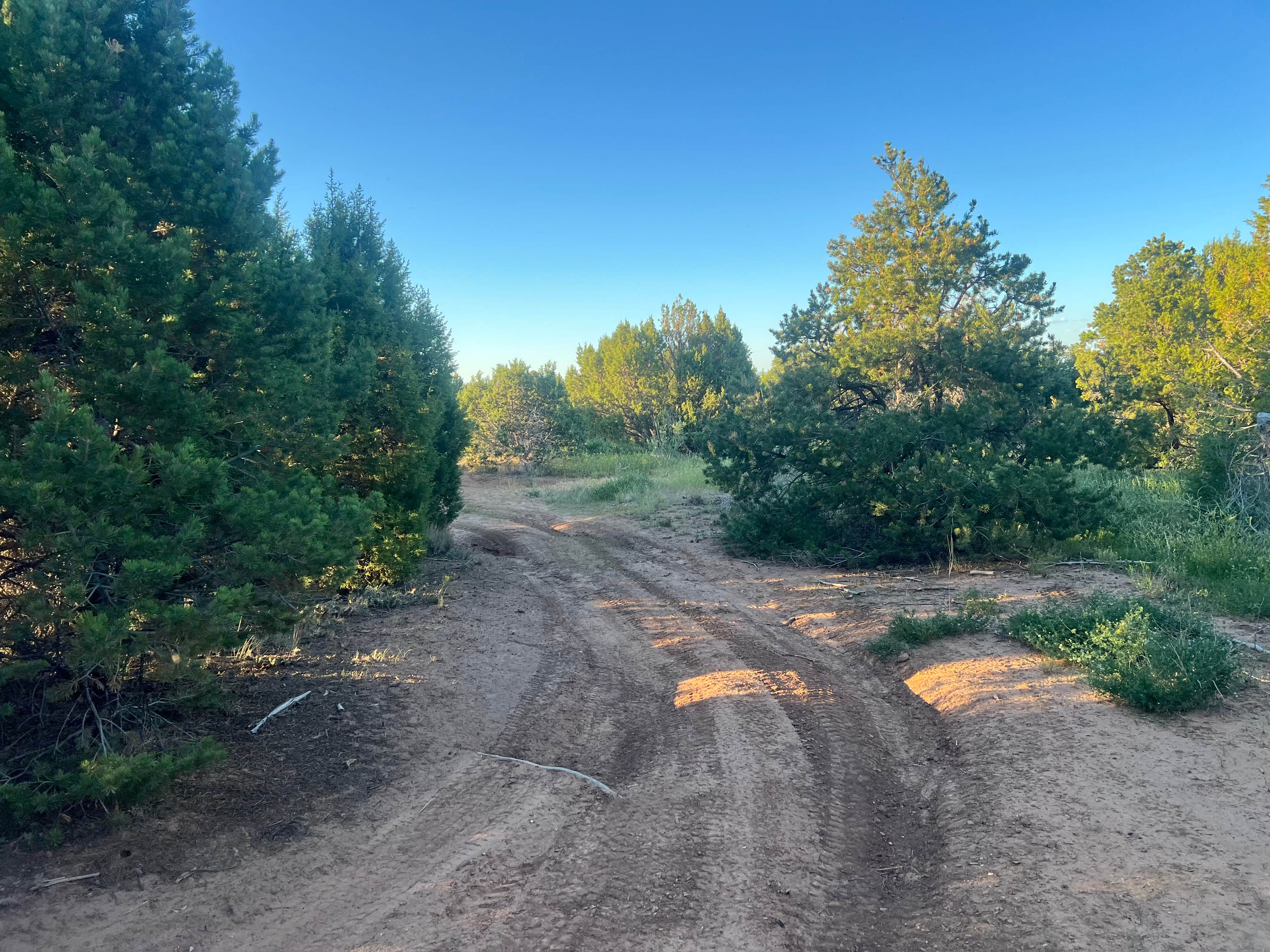 Camper-submitted photo at Dry Creek Ditch near Montrose, CO