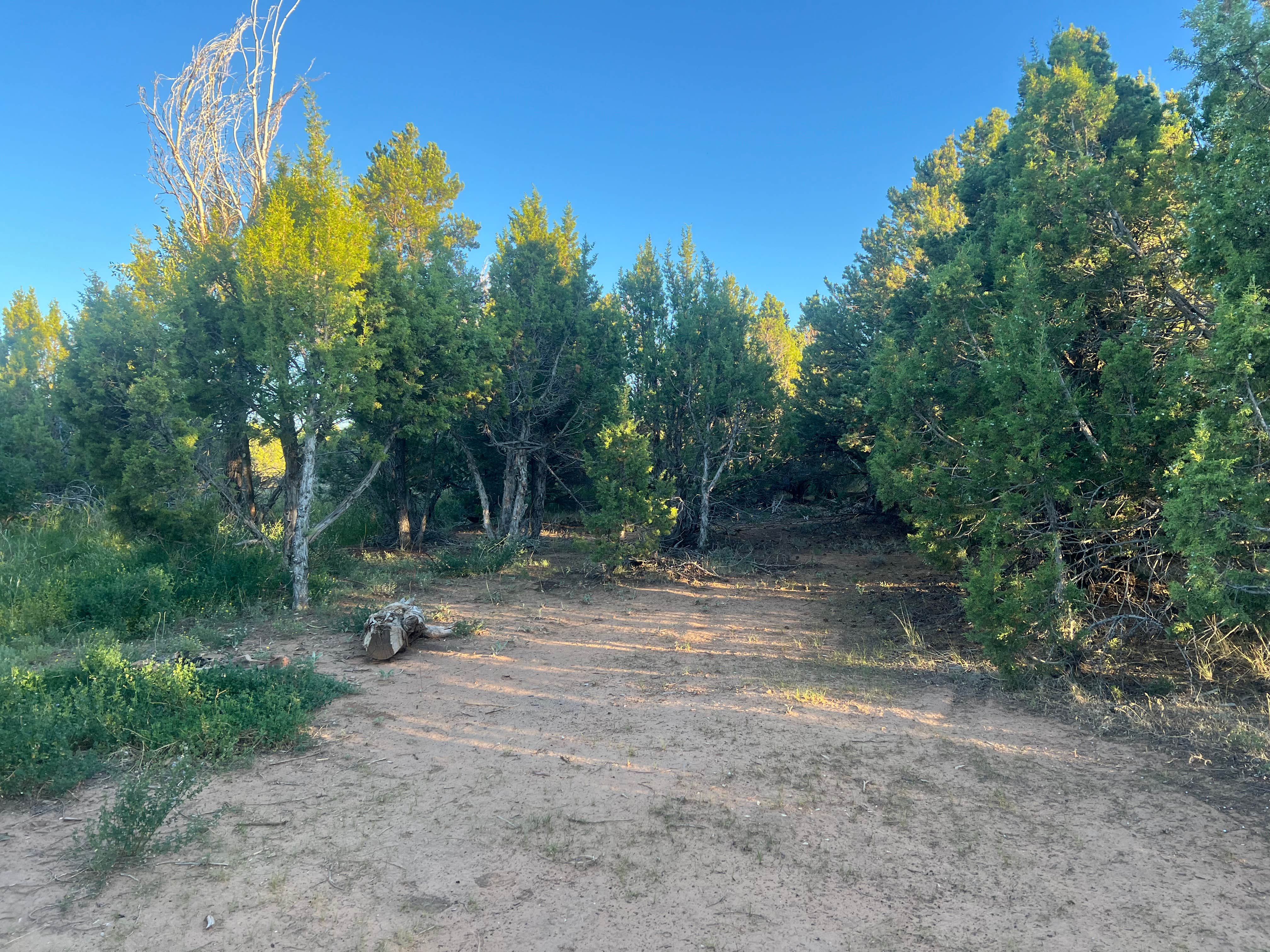 Camper-submitted photo at Dry Creek Ditch near Montrose, CO