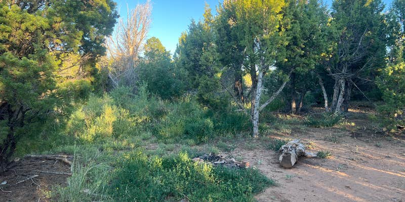 Camper submitted image from Dry Creek Ditch