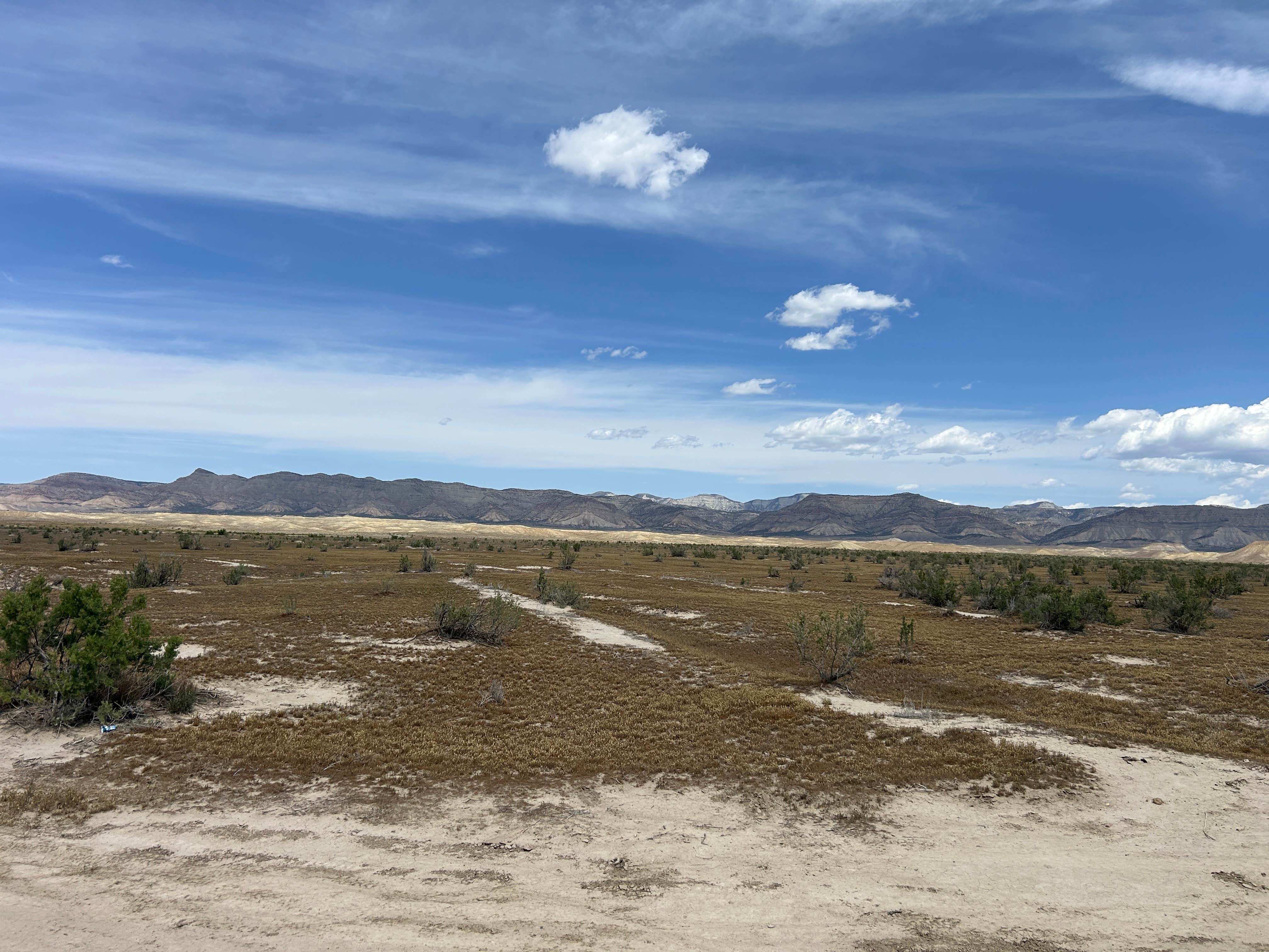 Camper-submitted photo at Dry Gulch Camp near Grand Junction, CO