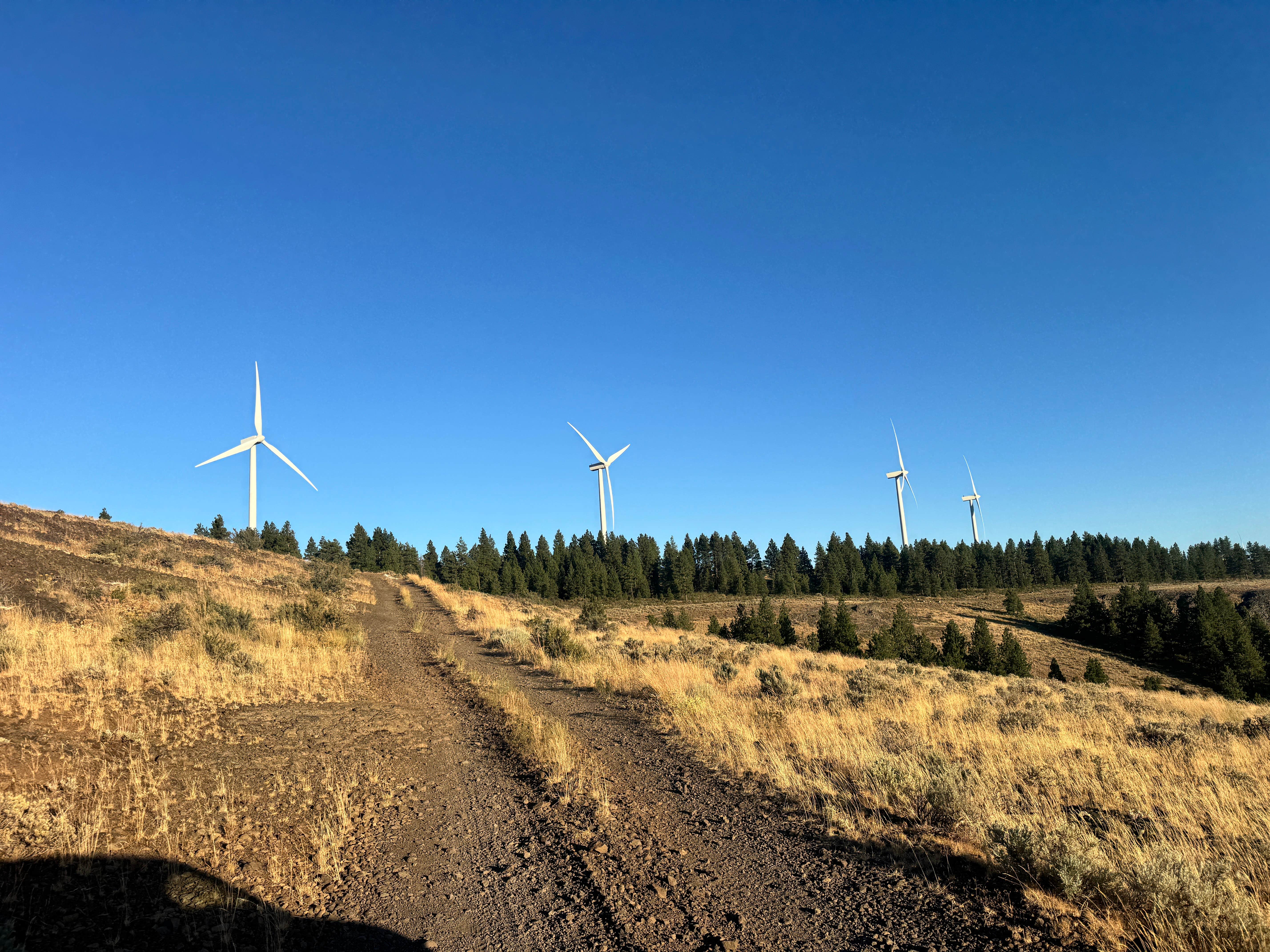 Camping near Crescent Bar Campground (Grant PUD Crescent Bar Recreation Area): Dry Gulch on Columbia River, Vantage, Washington