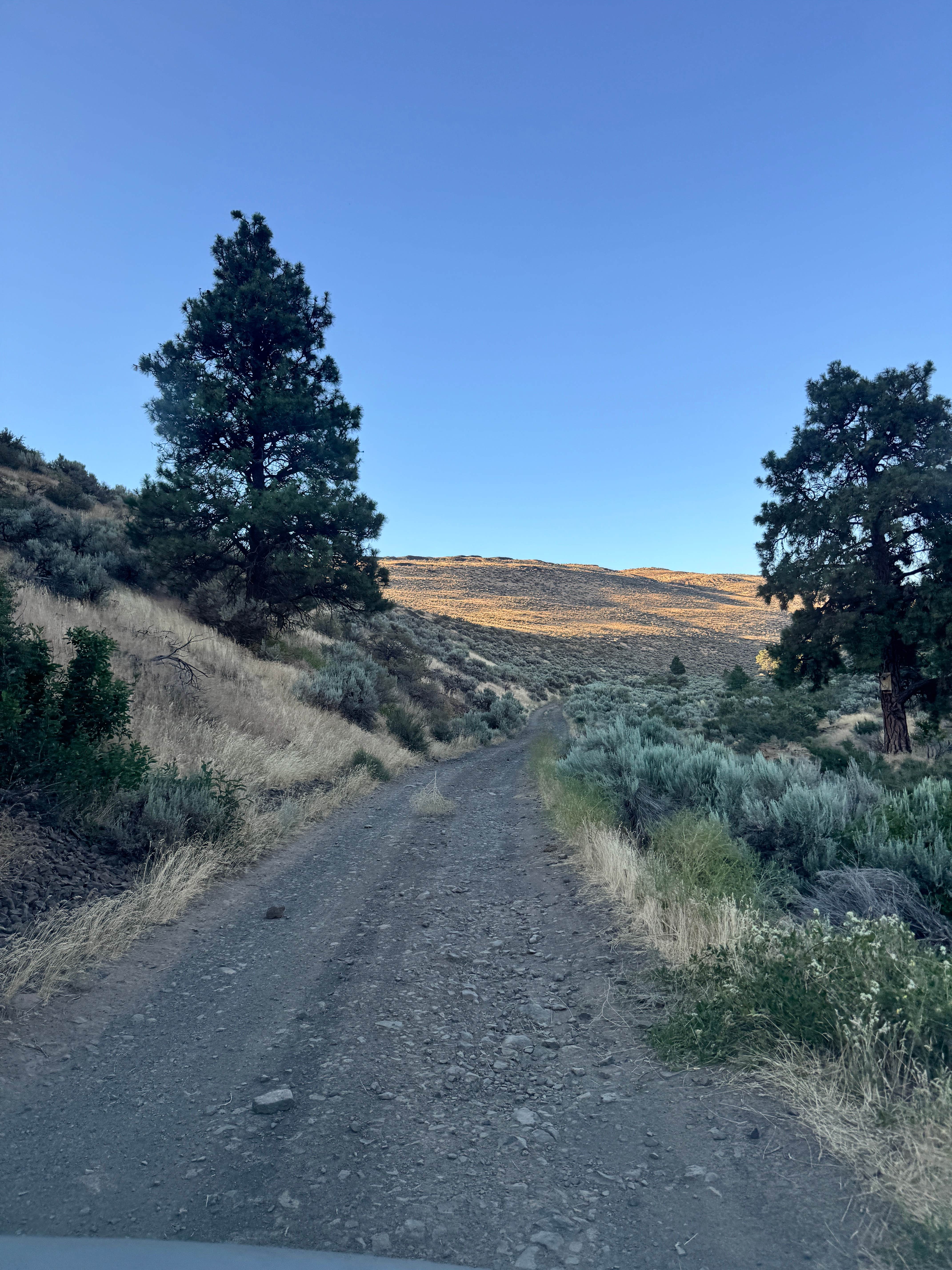 Camper-submitted photo at Dry Gulch on Columbia River near Vantage, WA