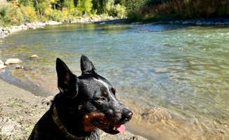 Austin H.'s photo of camping with pets at Dubois Campground near Dubois, WY