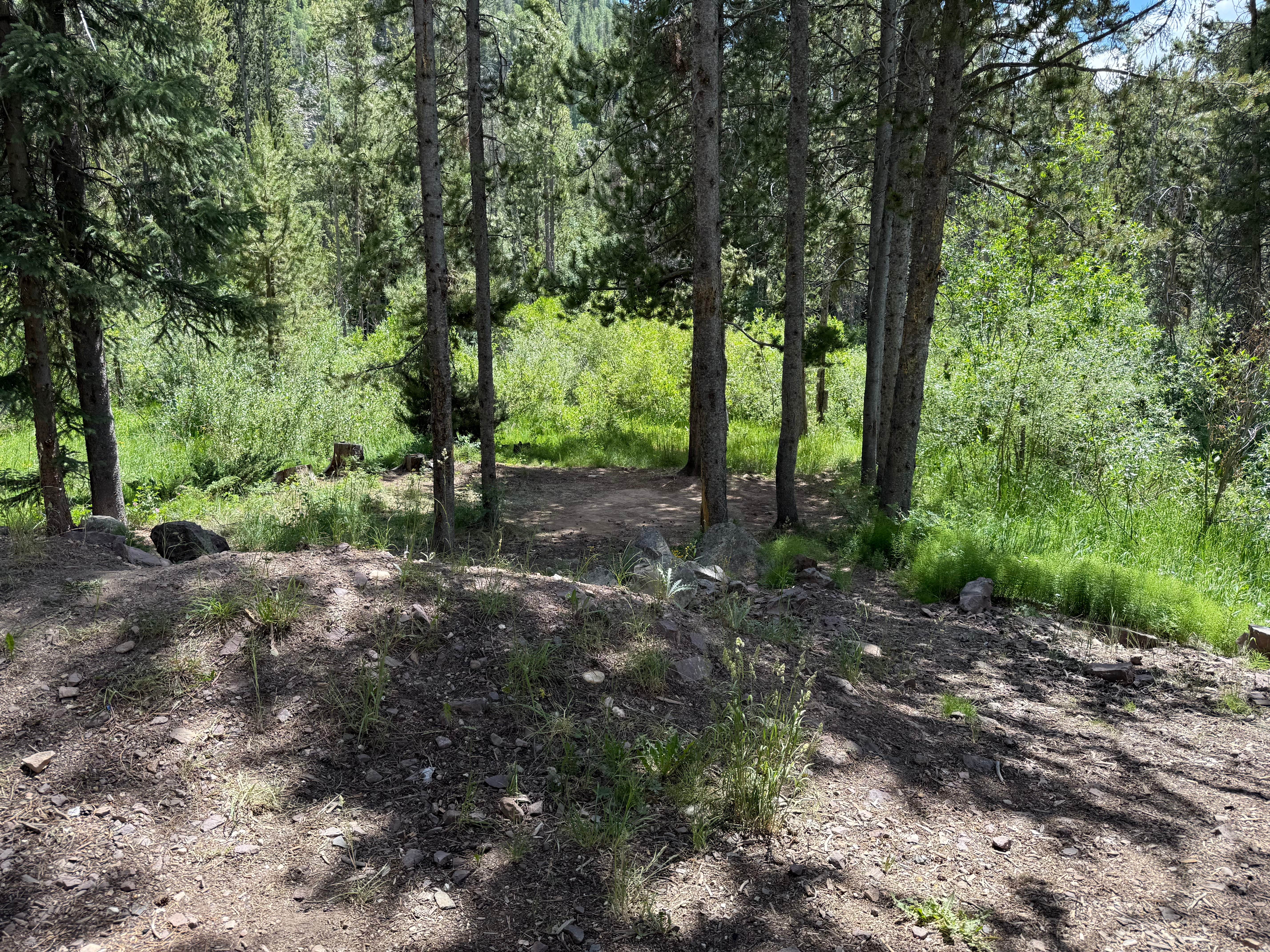 Camper-submitted photo at Duchesne Tunnel Creekside Camp near Hanna, UT
