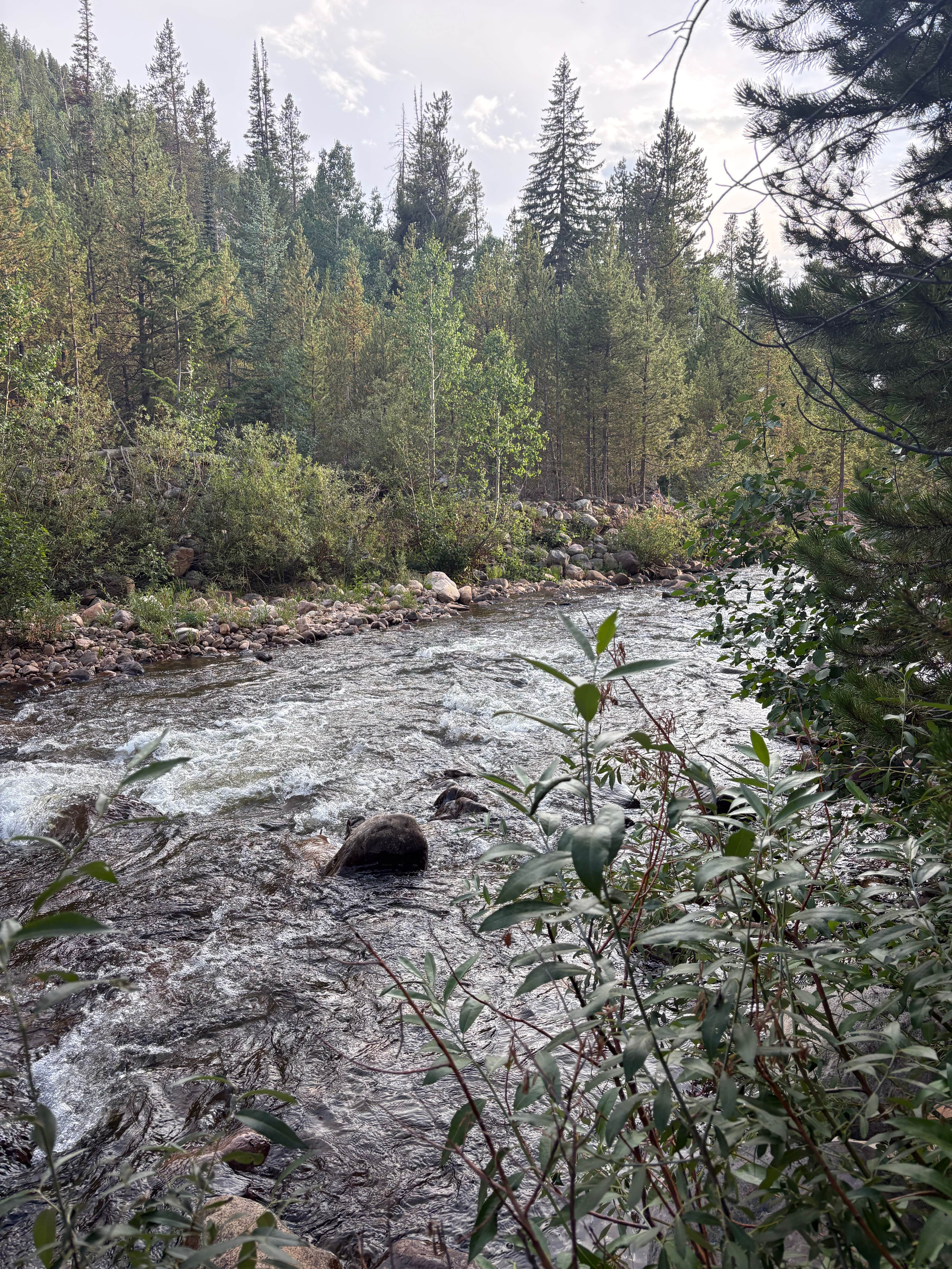 Camper-submitted photo at Duchesne Tunnel Creekside Camp near Hanna, UT