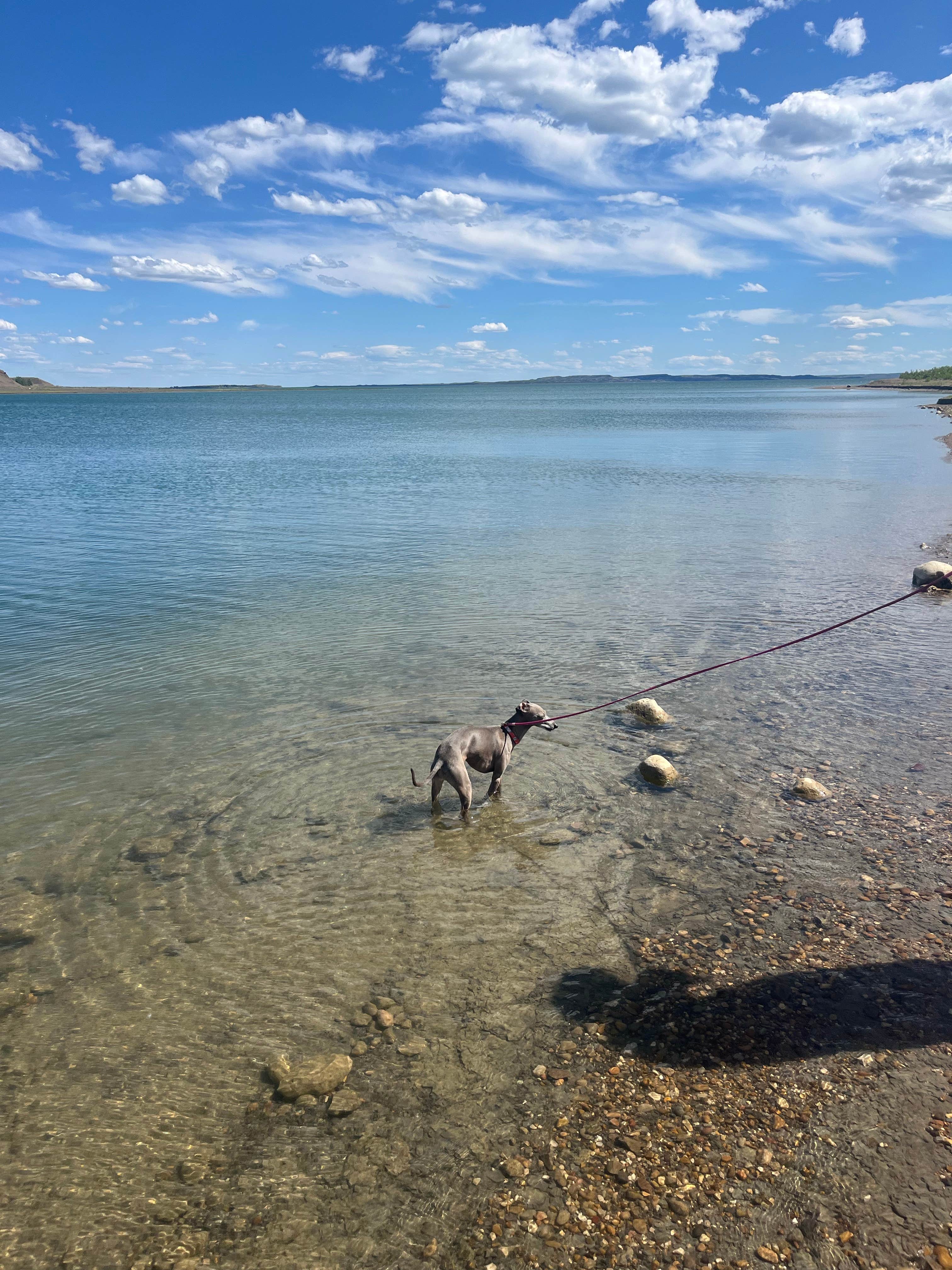 Camper-submitted photo at Fort Peck Duck Creek near Jordan, MT