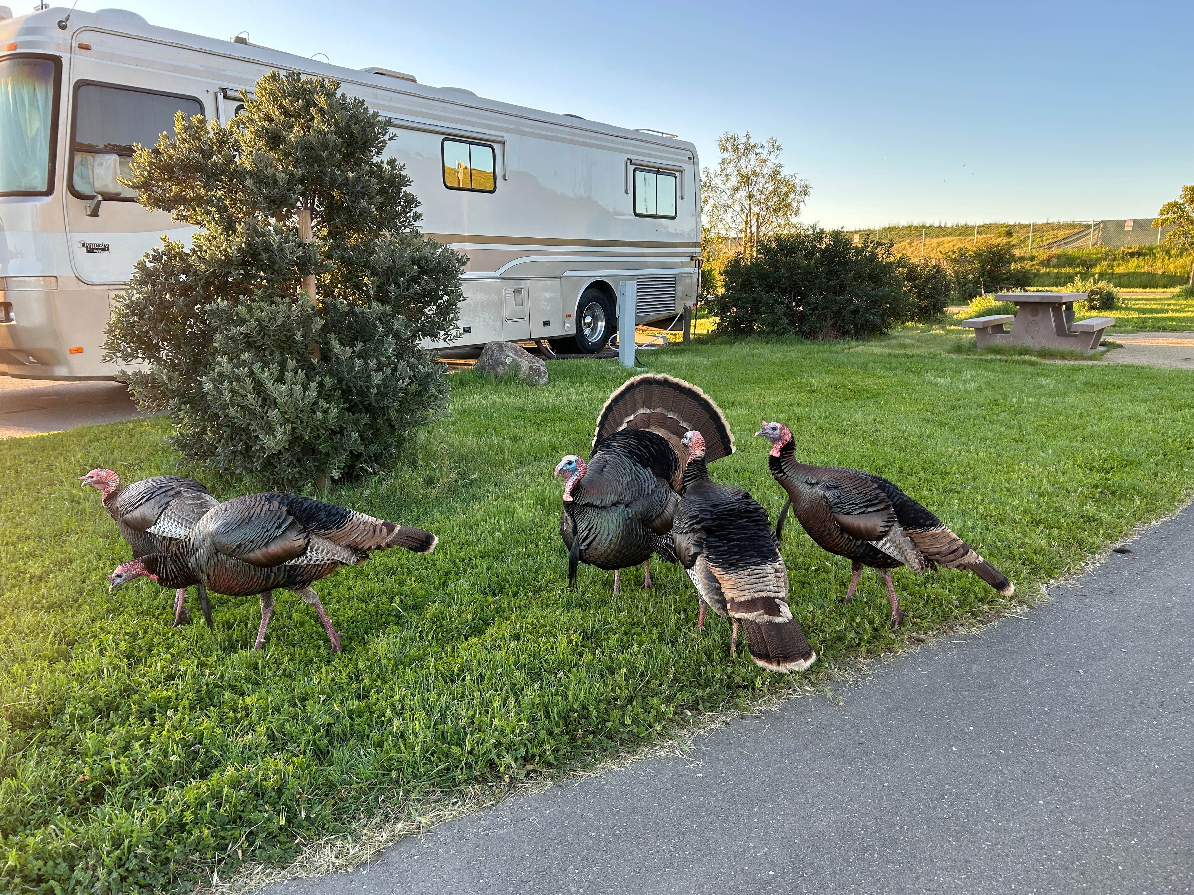 Camper-submitted photo at Dumbarton Quarry Campground on the Bay near San Leandro, CA