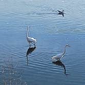 Review photo of Dumbarton Quarry Campground on the Bay by michael D., November 19, 2024