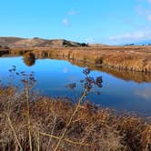 Review photo of Dumbarton Quarry Campground on the Bay by michael D., November 19, 2024