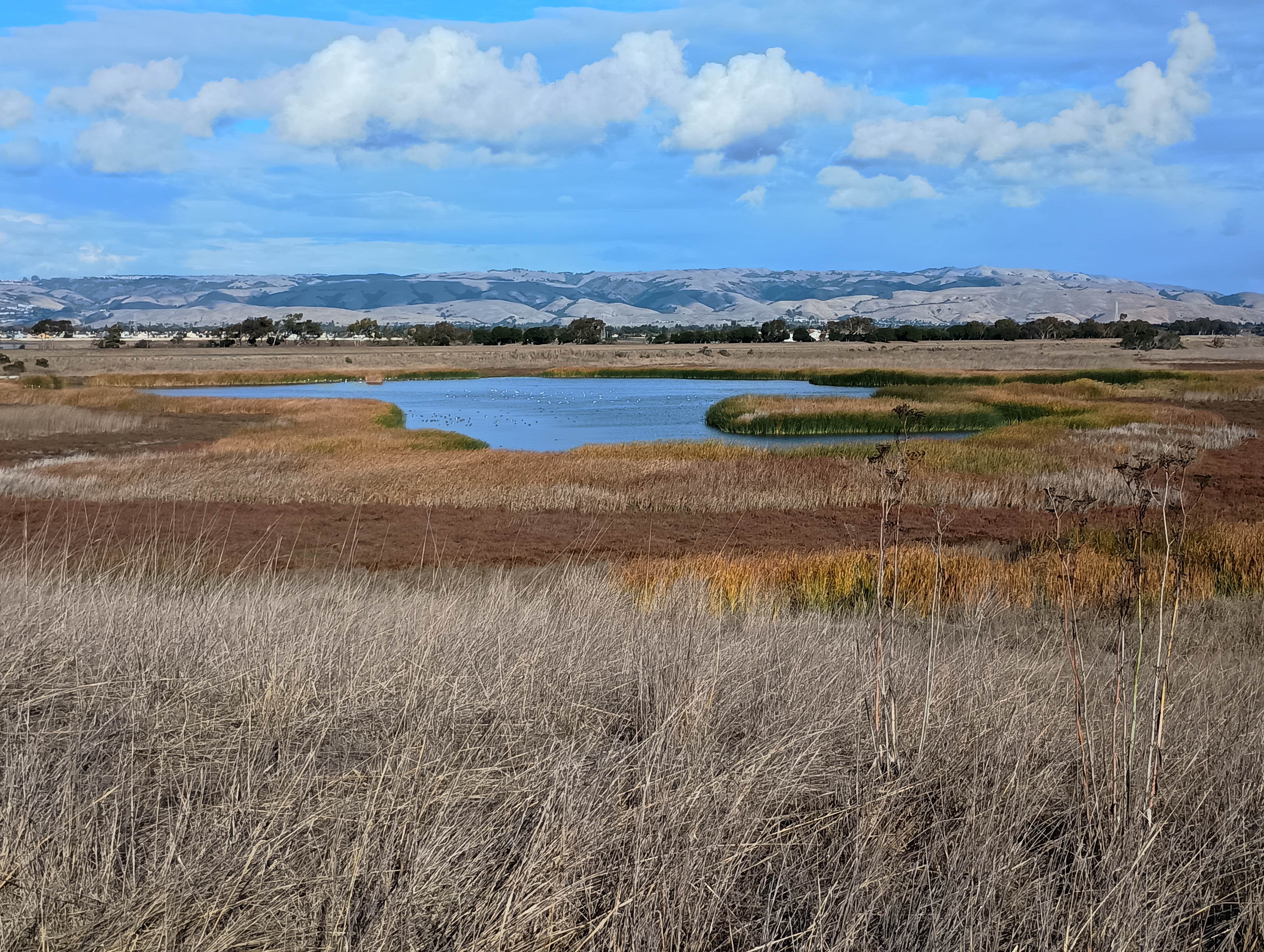 Camper-submitted photo at Dumbarton Quarry Campground on the Bay near Woodside, CA