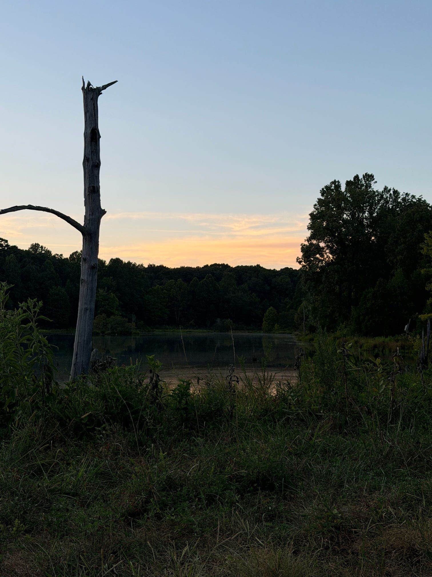 Camper-submitted photo at Duncan Lake, Land Between the Lakes near Paris, TN