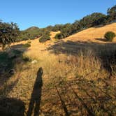Review photo of Duncan Peak Vineyards by Nicola L., July 4, 2025
