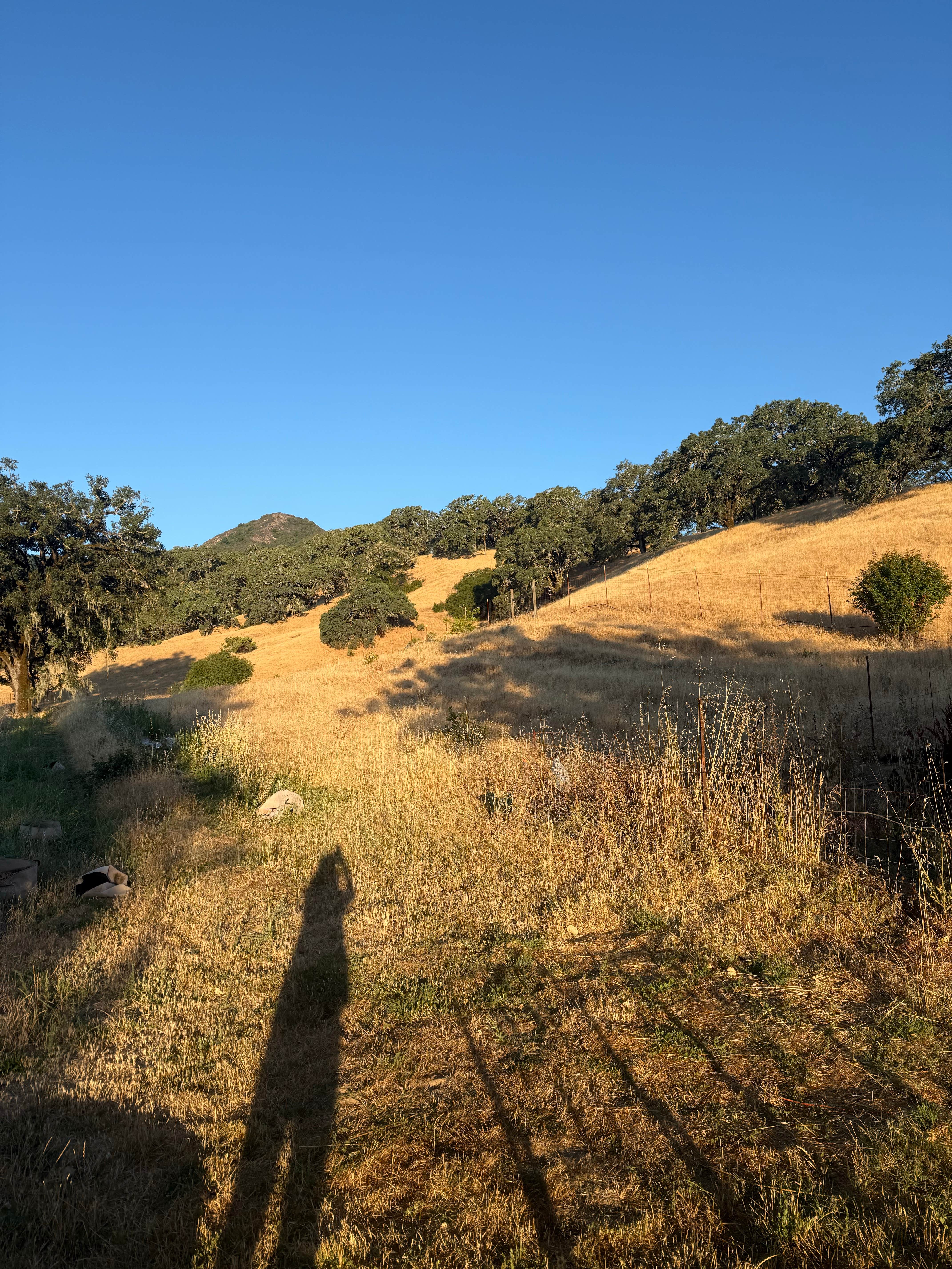 Camper submitted image from Duncan Peak Vineyards - 2