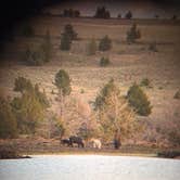 Review photo of Duncan Reservoir Campground by Liona L., July 23, 2025