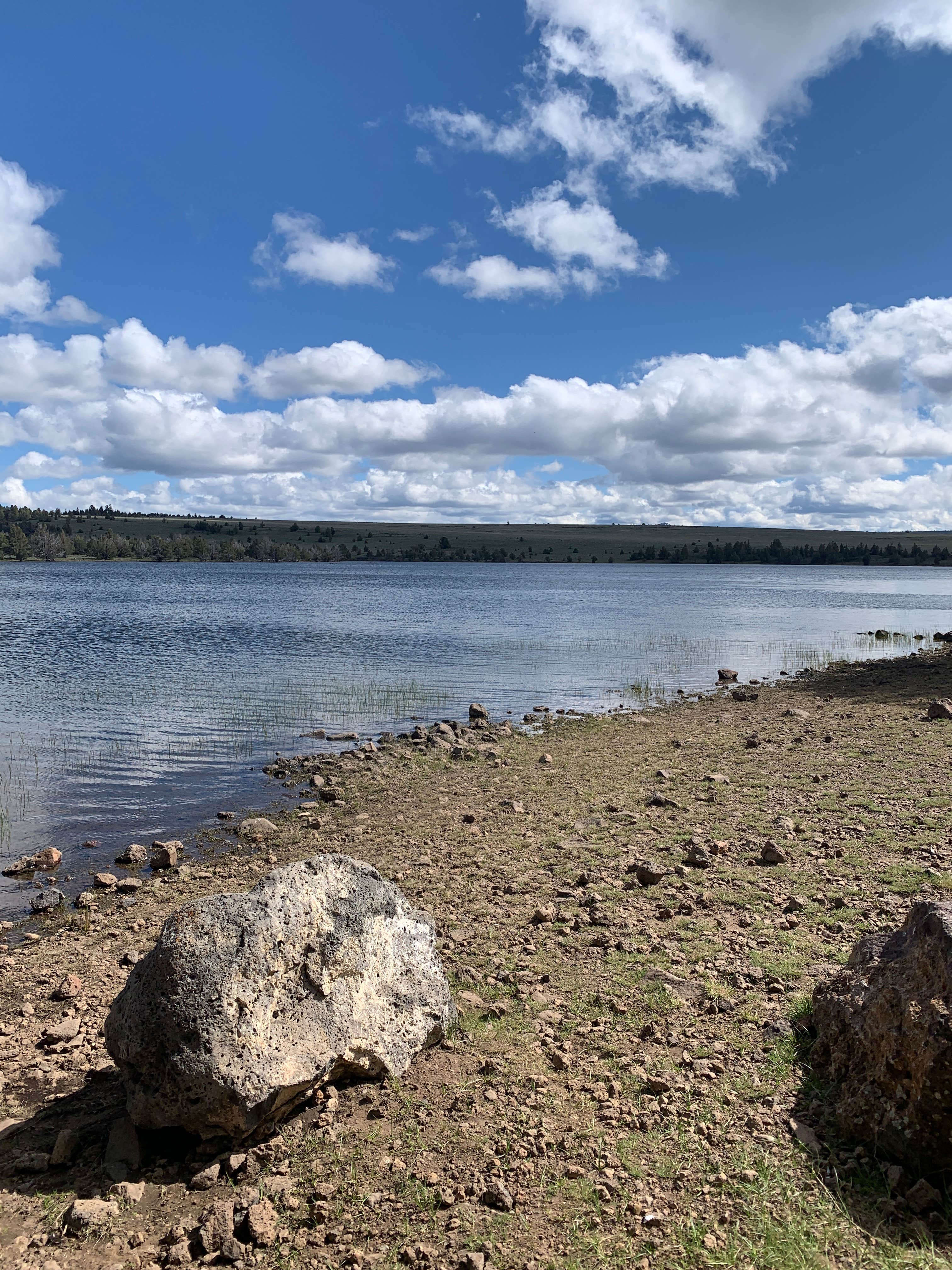 Mama J.'s photo of a dispersed camping area at Duncan Reservoir Campground near Beatty, OR