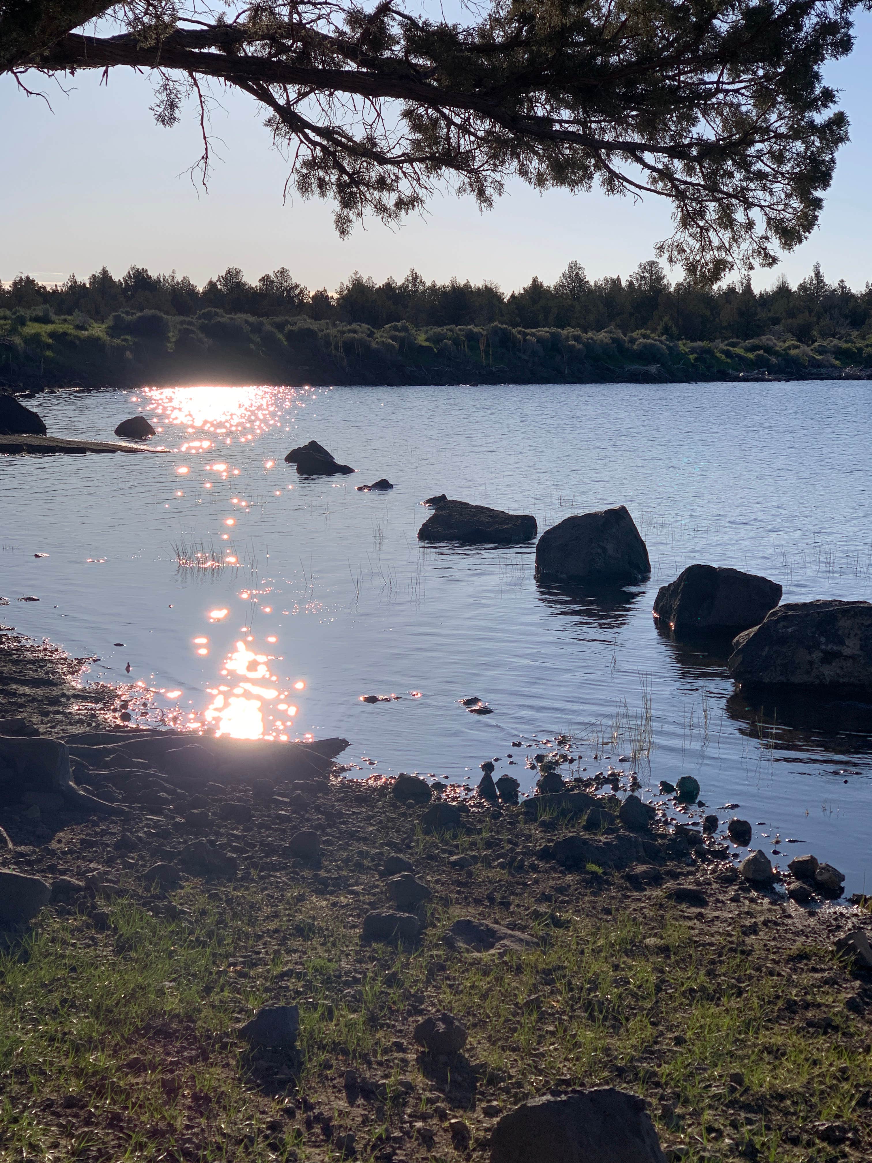 Mama J.'s photo of a dispersed camping area at Duncan Reservoir Campground near Fremont-Winema National Forest