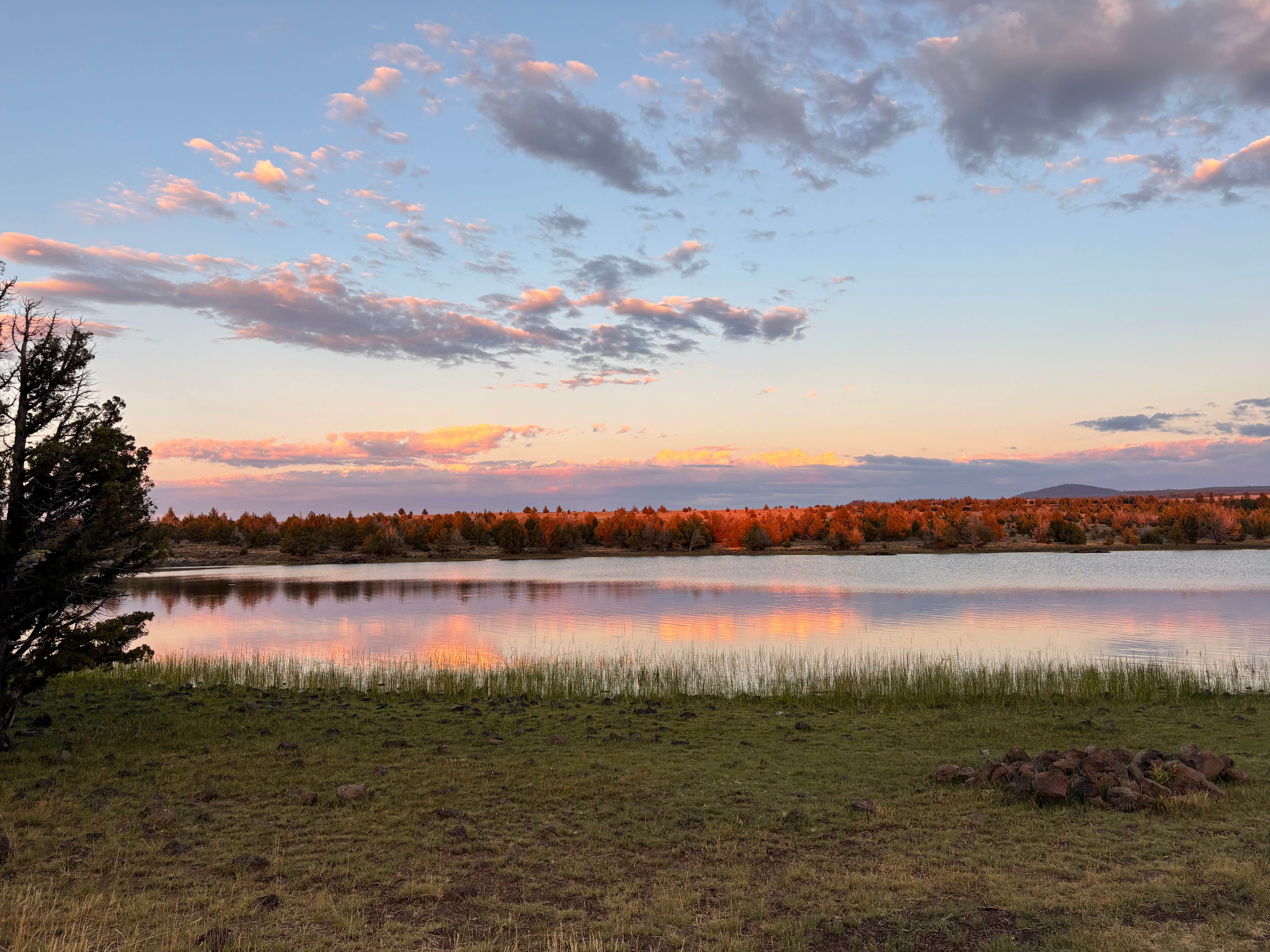 Liona L.'s photo of a dispersed camping area at Duncan Reservoir Campground near Beatty, OR