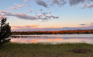 Liona L.'s photo of a dispersed camping area at Duncan Reservoir Campground near Fremont-Winema National Forest
