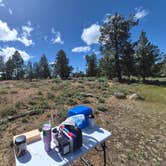Review photo of Duncan Reservoir South Site by Stella R., June 25, 2026