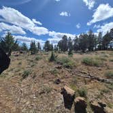 Review photo of Duncan Reservoir South Site by Stella R., June 25, 2026