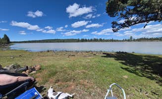 Stella R.'s photo of camping with pets at Duncan Reservoir South Site near Tulelake, CA