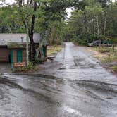 Review photo of Dunes' Edge Campground - Provincetown Camping by Colin R., September 25, 2025